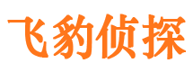 普宁市私家侦探